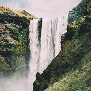 Meet your Posher, Martha